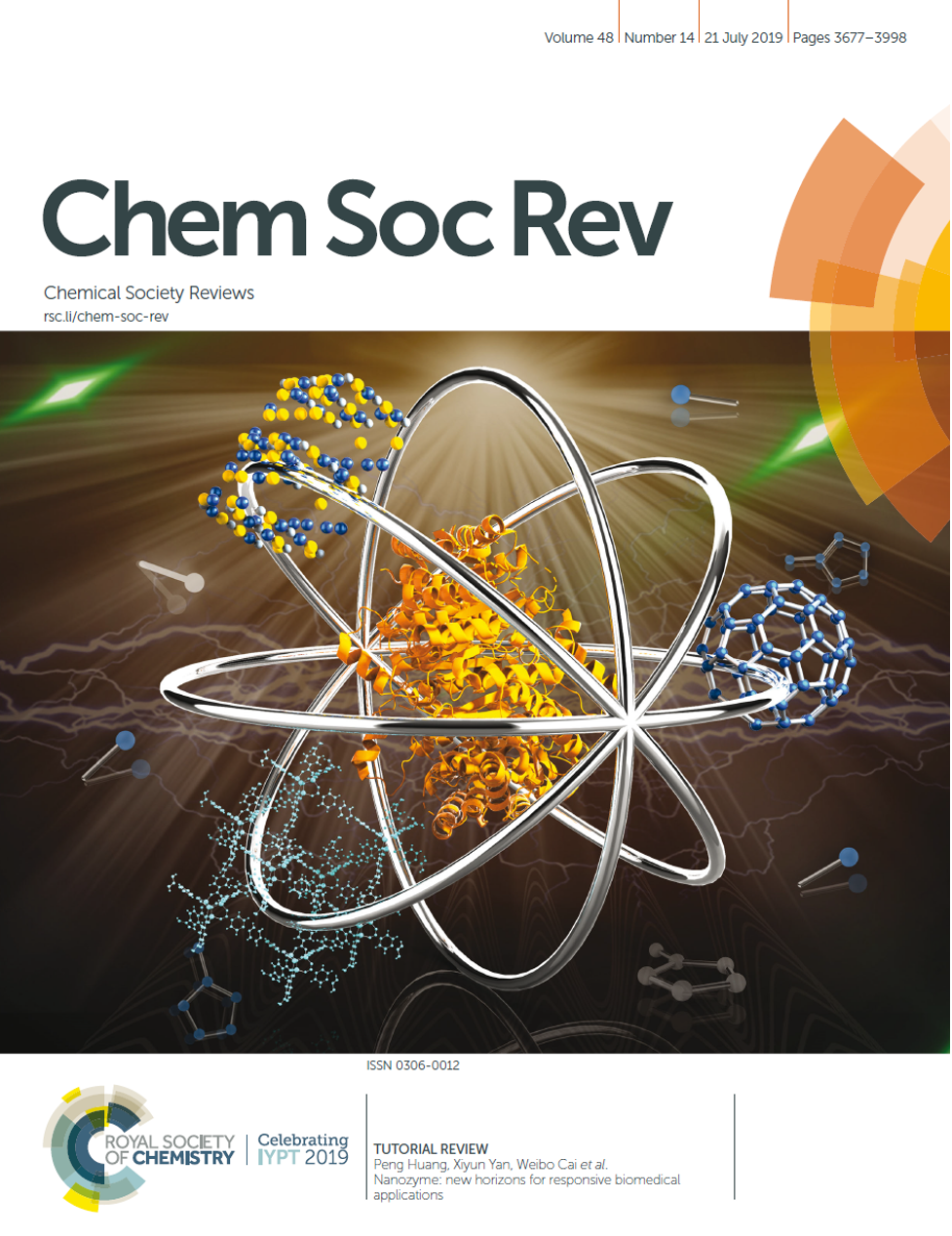 Chem Soc Rev